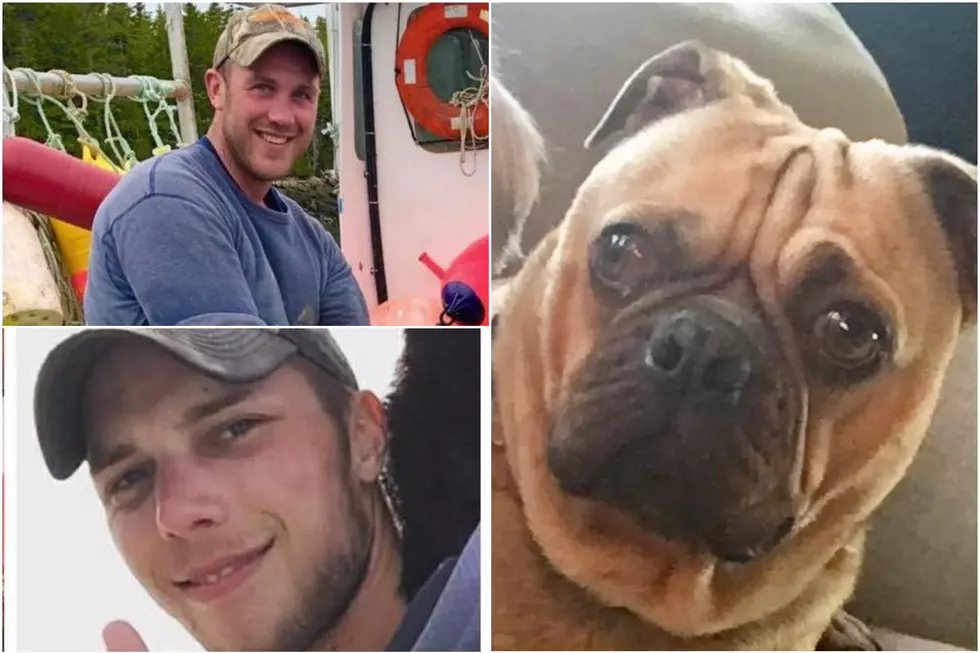 Police: Winter Harbor Man&#8217;s Dog Stolen And Killed