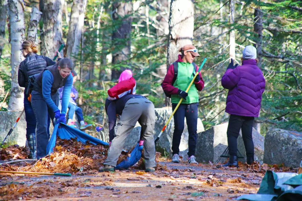 Volunteers Needed To Ready Acadia&#8217;s Carriage Roads For Winter