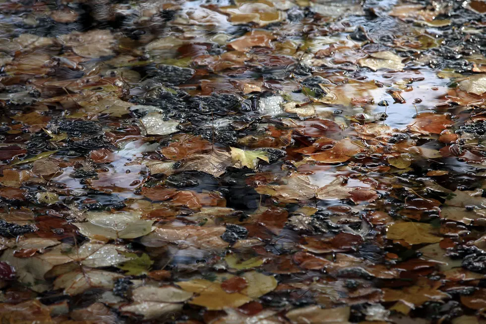 Drought Conditions In Maine Continue