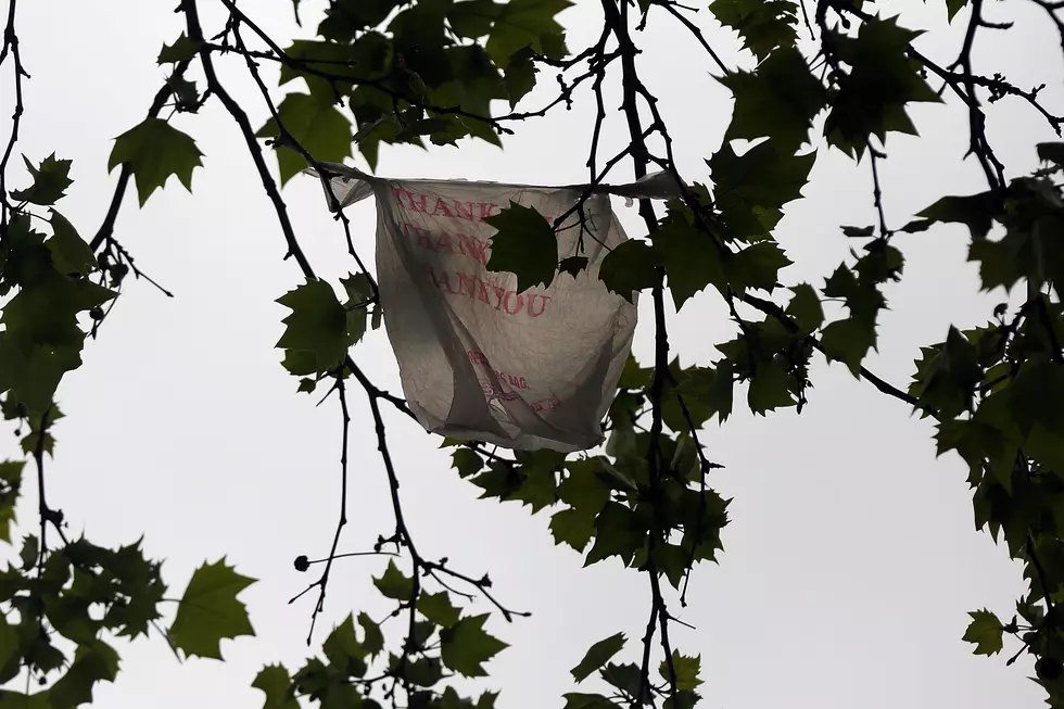 Maine Lawmakers Push For A Statewide Ban On Plastic Bags