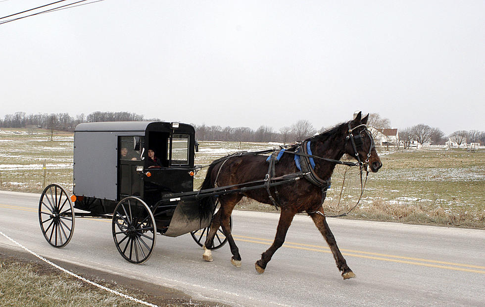 Horse Drawn Vehicles Will Now Need Safety Lights At Night