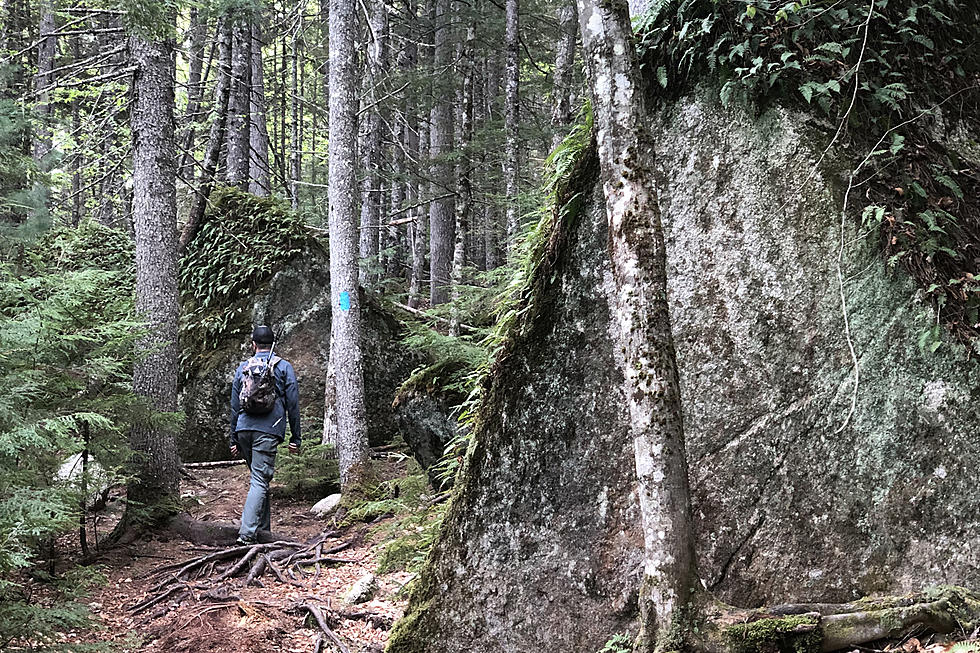 Maine Warden Service Share Spring Hiking Reminders