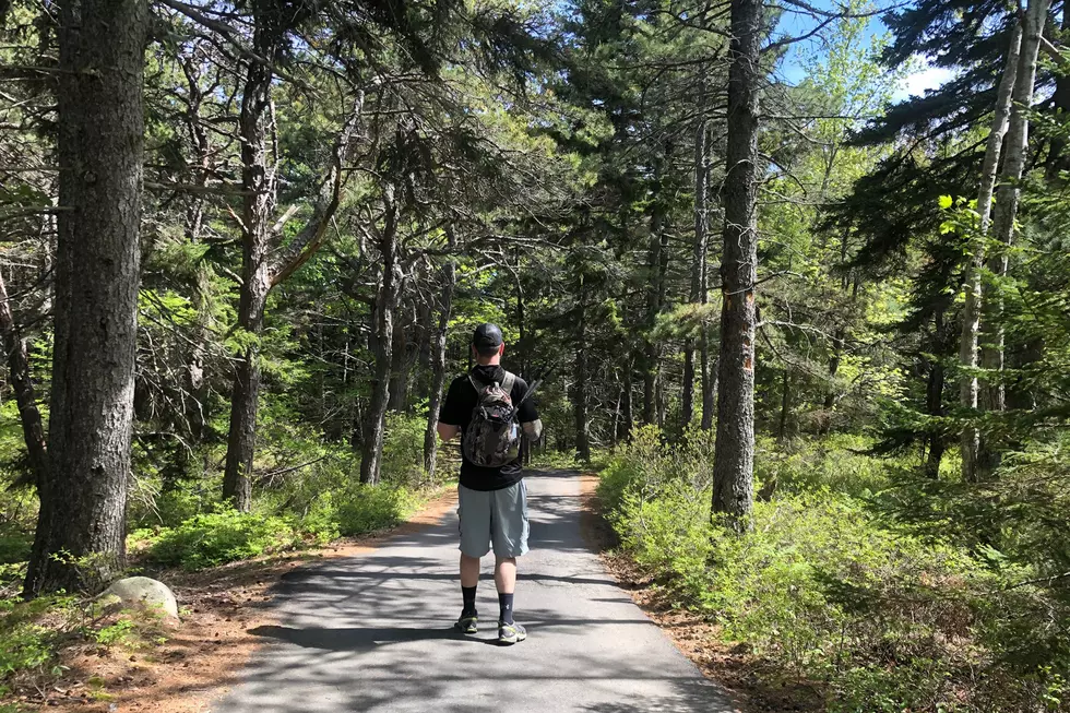 Trail