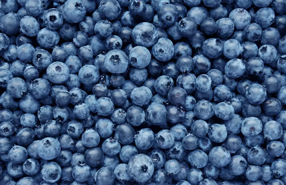 Blueberry Farmers Would Love It If You Stopped Picking Their Berries