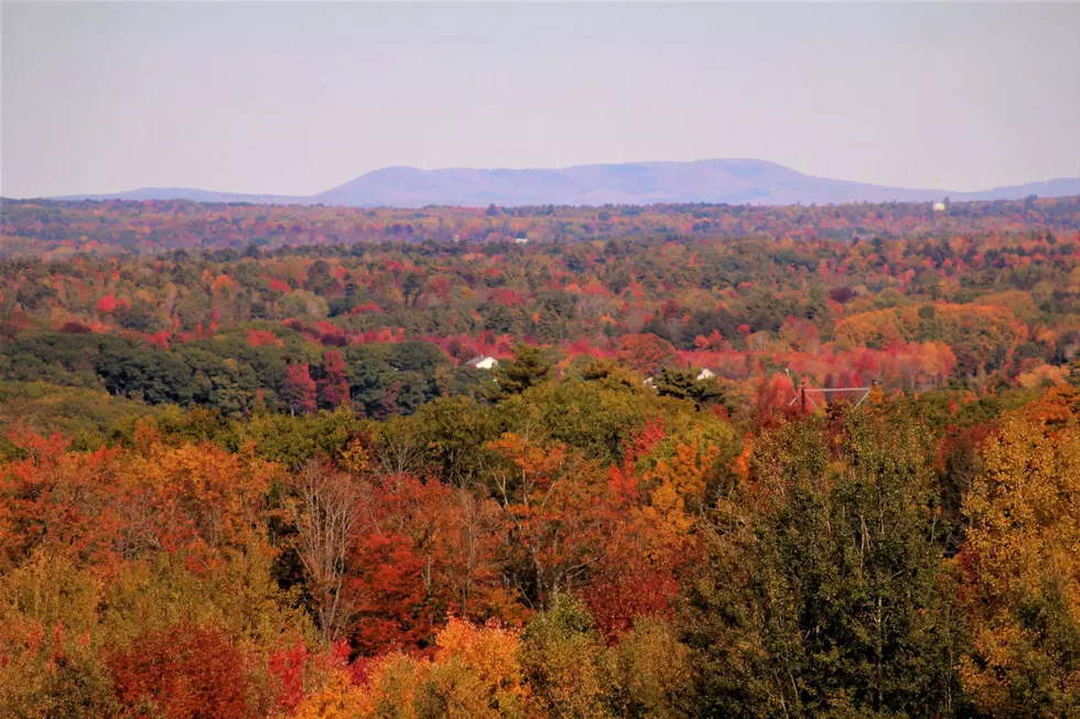 Time to Do Some Leaf-Peeping With the Foliage at Peak [PICS]