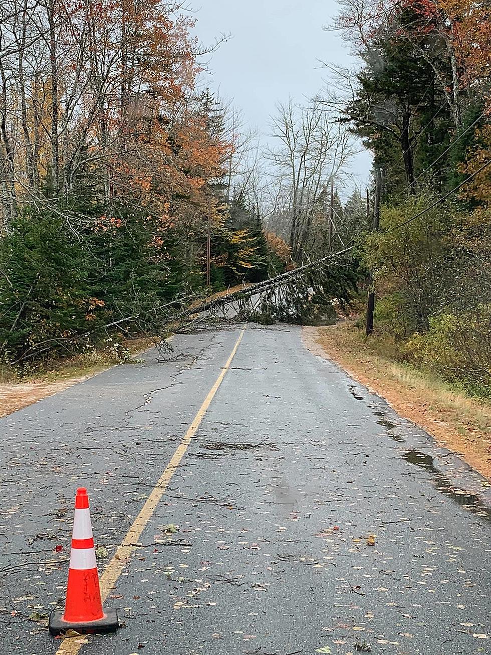 The City Of Bangor Is Going To Pick Up Storm Brush