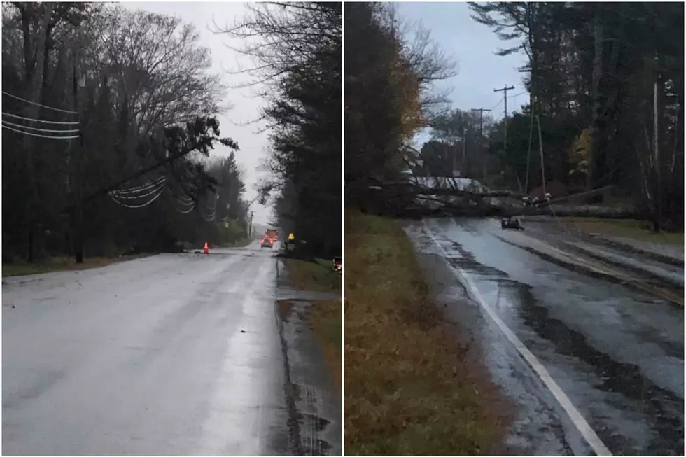 High Winds Take Out Power for More Than 130K, Close Roads