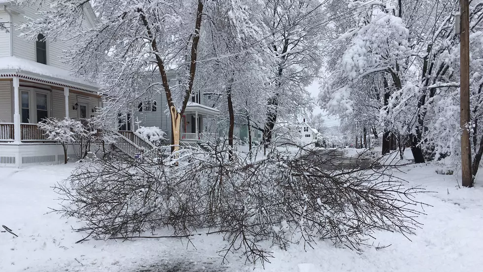 Spring Nor’easter Leaves Thousands of Mainers without Power