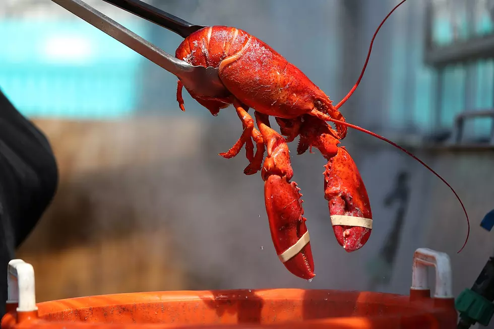 Winter Harbor Lobster Festival Schedule for Tomorrow