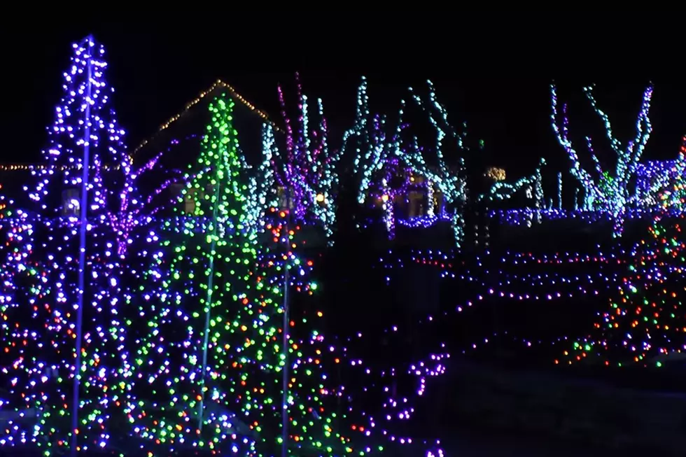 Maine Botanical Gardens Aglow Will Be Drive-Through This Year