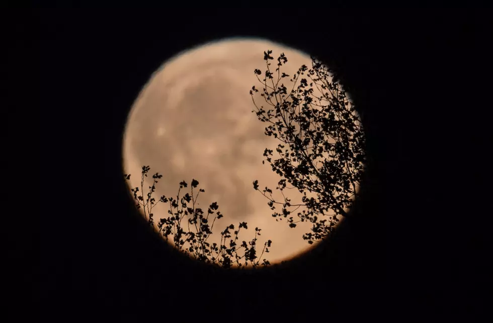 October Features Rare Halloween Blue Moon