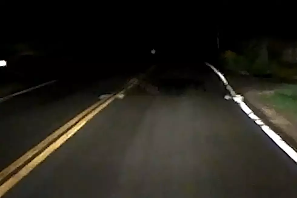 Mysterious Shadow Creature Caught On Dashcam In Maine