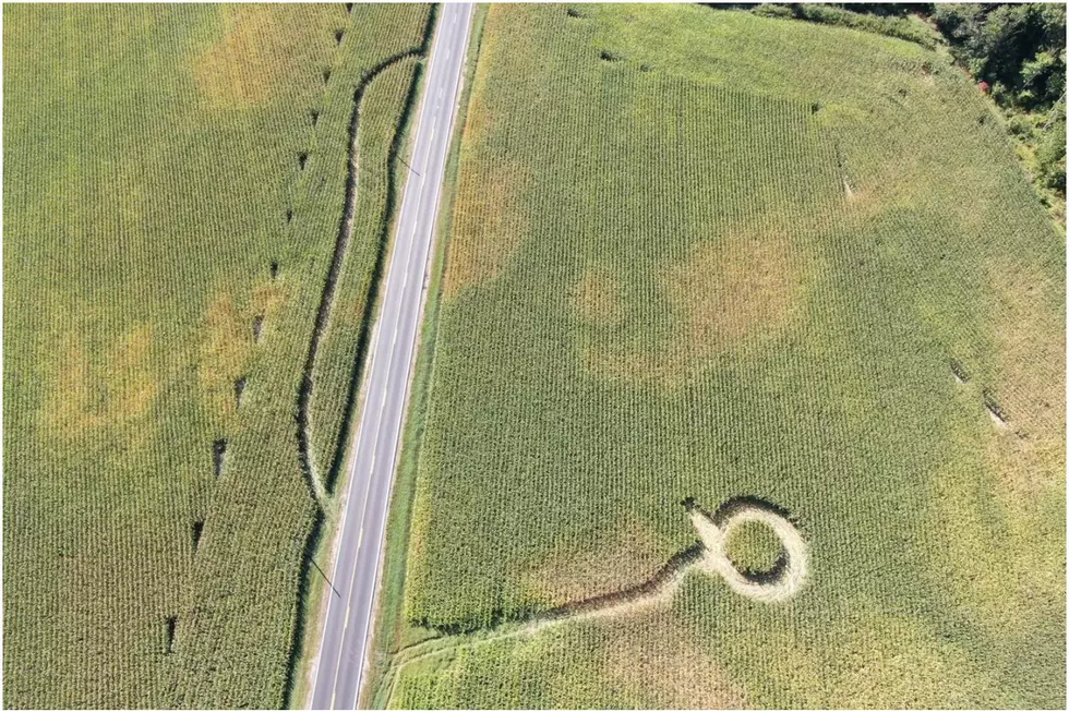 Maine Wardens Seek Person Who Destroyed Acres of Corn in Leeds