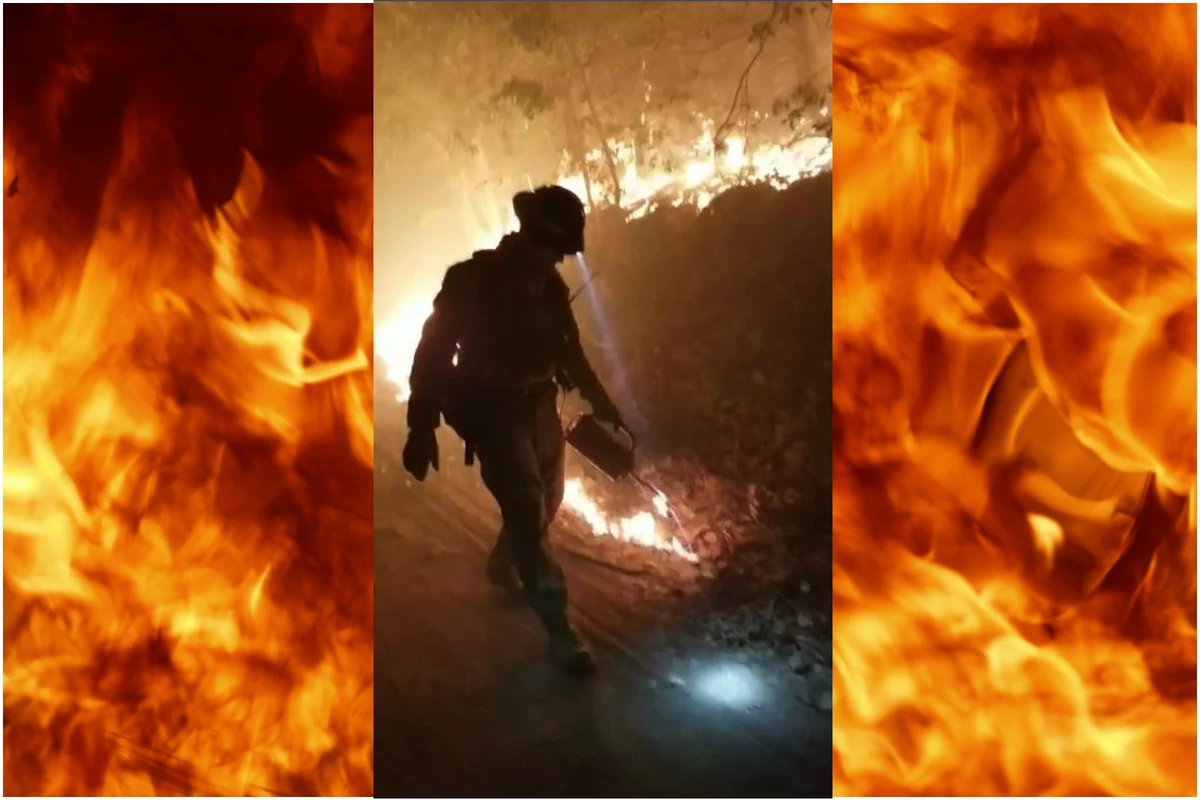 WATCH: ME Forest Rangers Using Fire to Fight Fire in California