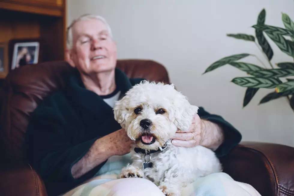 Help Maine Seniors Keep Their Pets