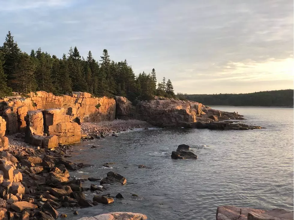 MLK Day is a Fee Free Day at Acadia National Park