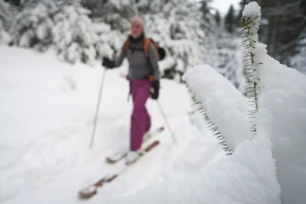 Bangor Municipal Golf Course Opens To Cross-Country Skiing