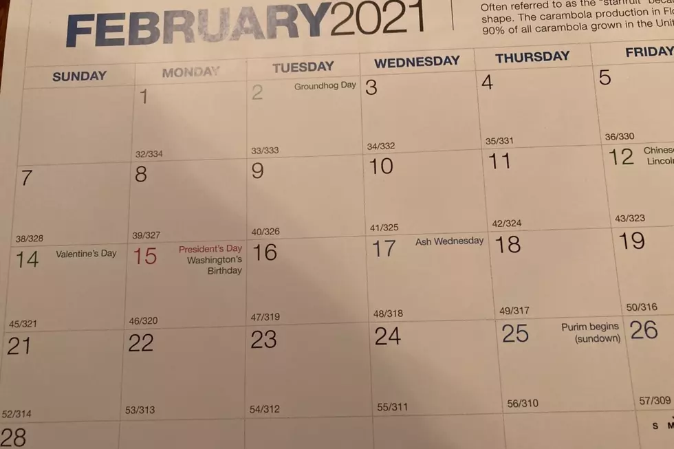 A Busy February Underway