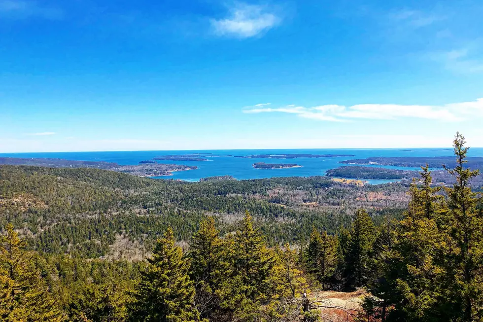 WOLFE IN THE WILD: Take In Glittering Ocean Views From Atop This Maine Fire Tower
