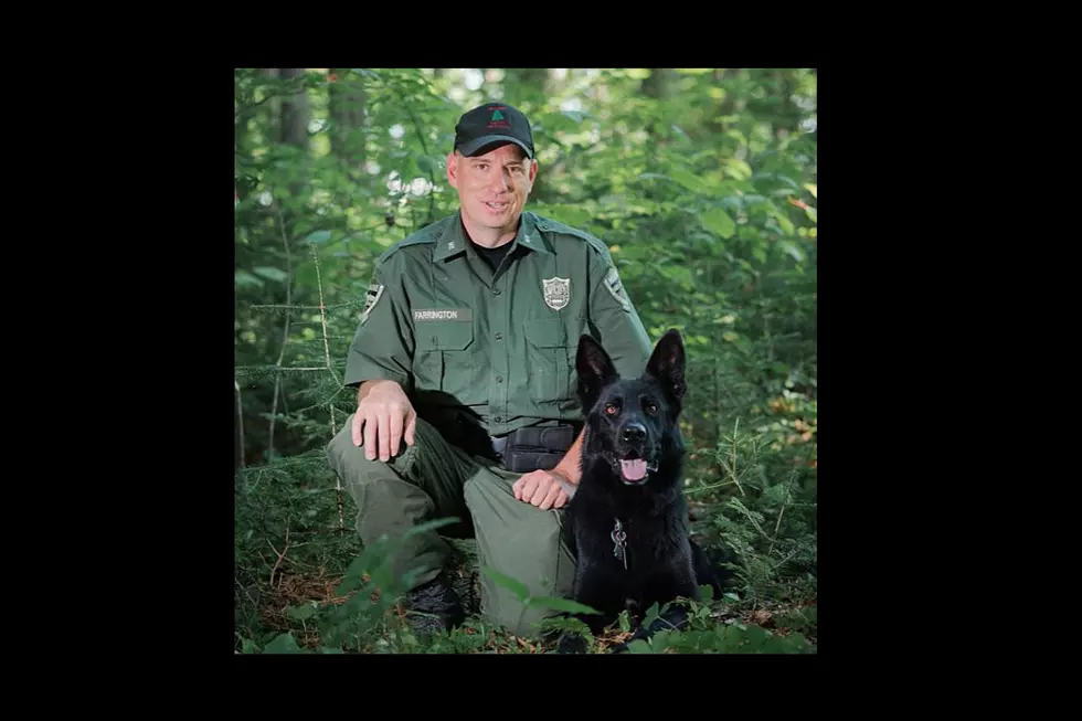 Maine Mourns the Tragic Loss of Game Warden K-9 Yaro