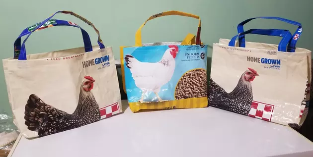 Reusable Grocery Bags, Handmade Recycled Feedbag Market Tote