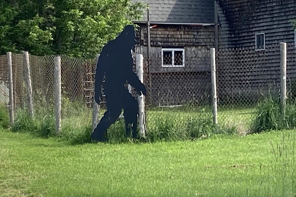 Paranormal Day - Flashback to Some Maine Big Foot Sightings