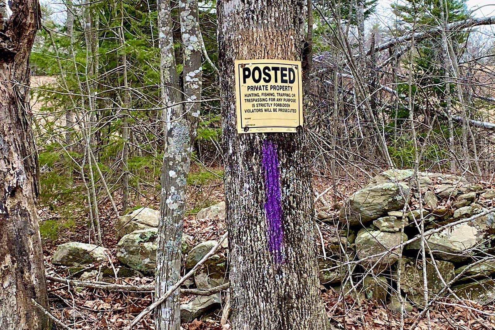 Purple No Trespassing Signs Cover 40 Acres Of Land 15 signs per package 