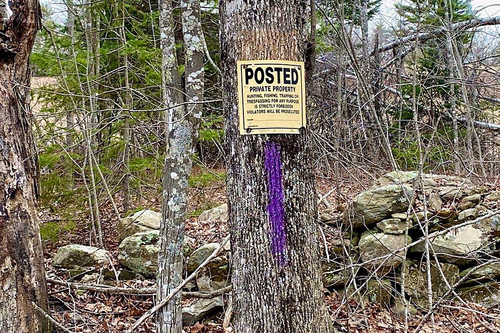 Do You Know What Purple Paint On A Fence Post Means in Maine?