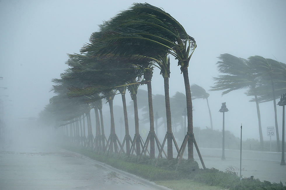 This Mainer Has Been Through A Hurricane