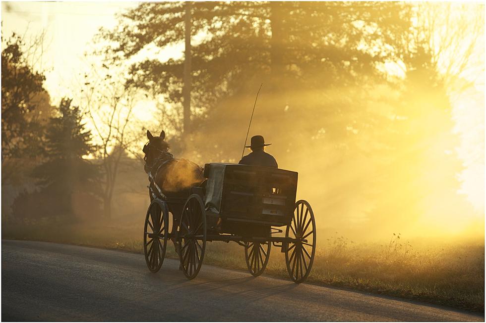 How to Share Maine Roads with an Amish Horse and Buggy