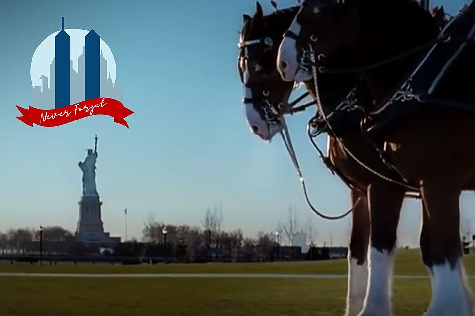 Maine Remembers: Budweiser 9/11 Commercial That Aired Only Once