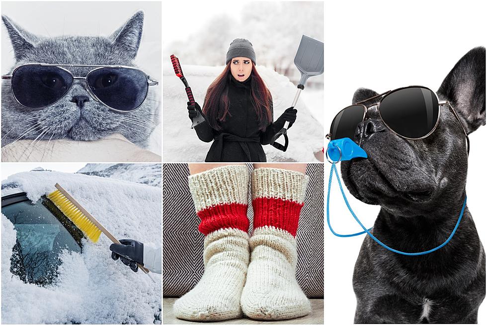 25 Essentials to Keep in Your Vehicle During the Winter Months