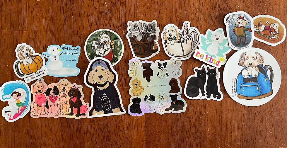 Sherman Animal Rescue Fundraiser for National Sticker Day