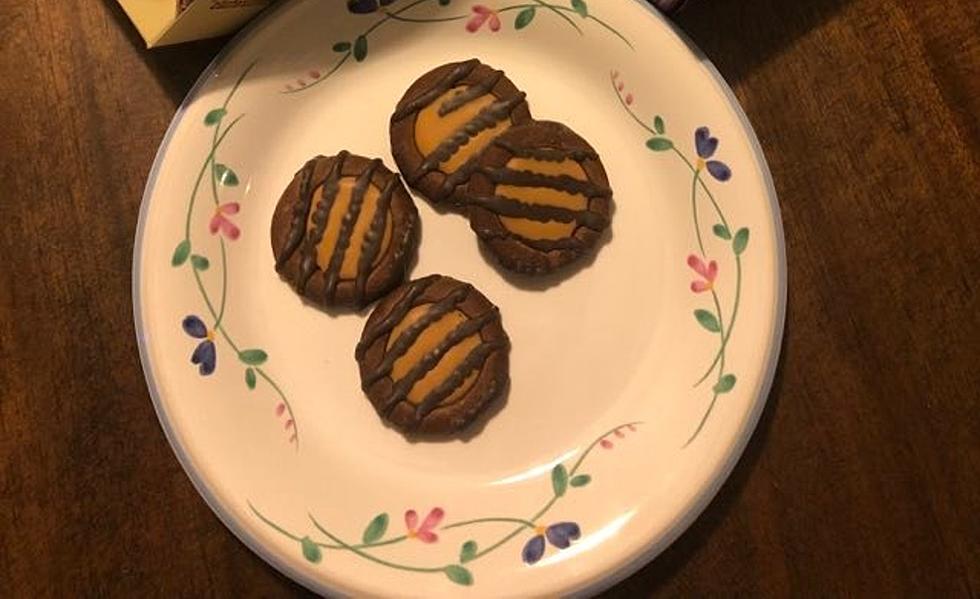 Wait For It. Maine Girl Scout Cookies Go On Sale Feb 1