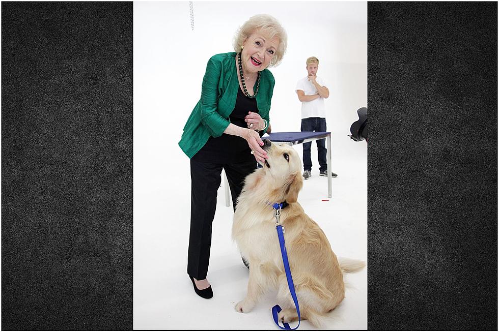 Today's the Day Mainers Honor Betty White by Helping Animals