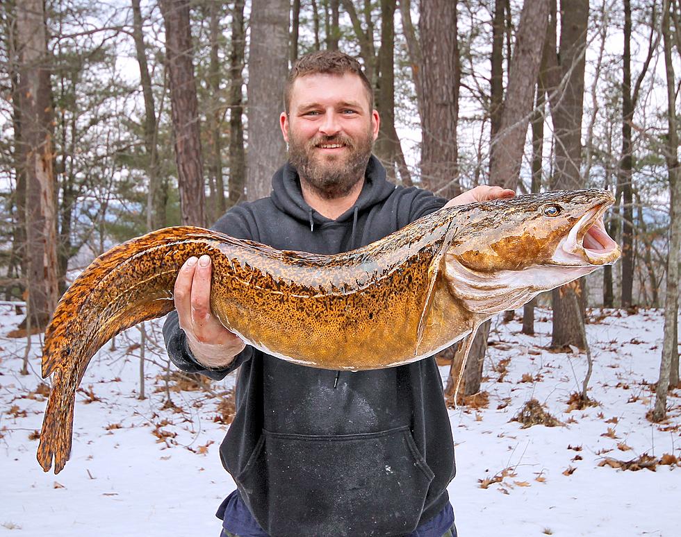 New Hampshire Angler Catches New State Record Cusk