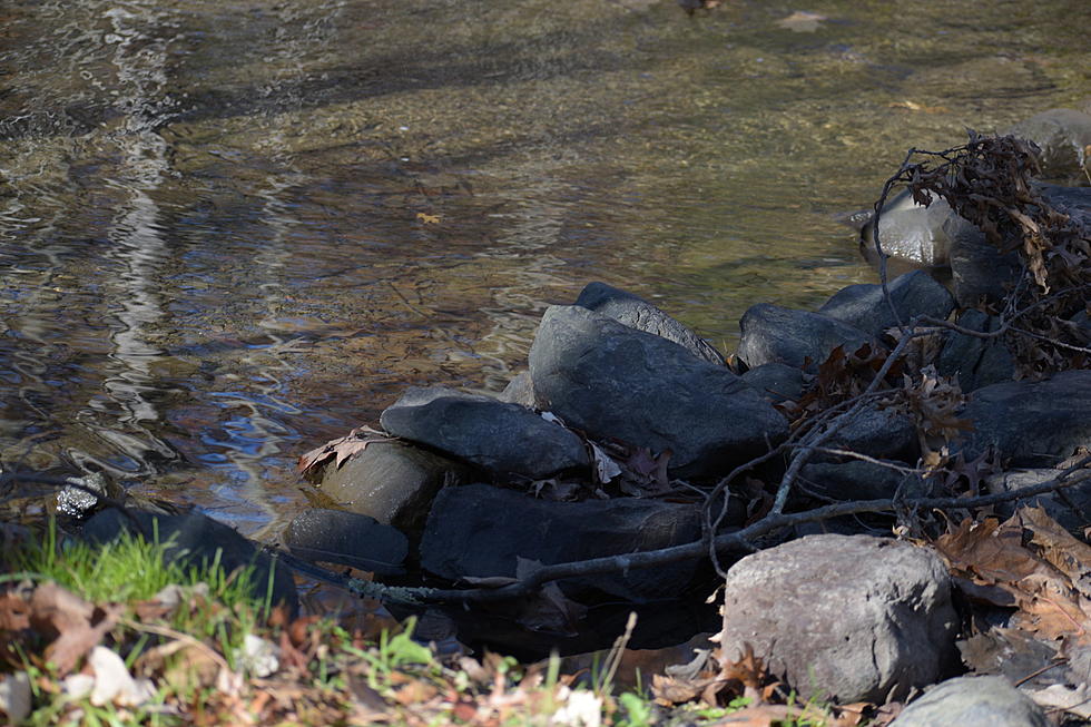 City of Brewer&#8217;s 18th Annual Stream Clean-Up Event