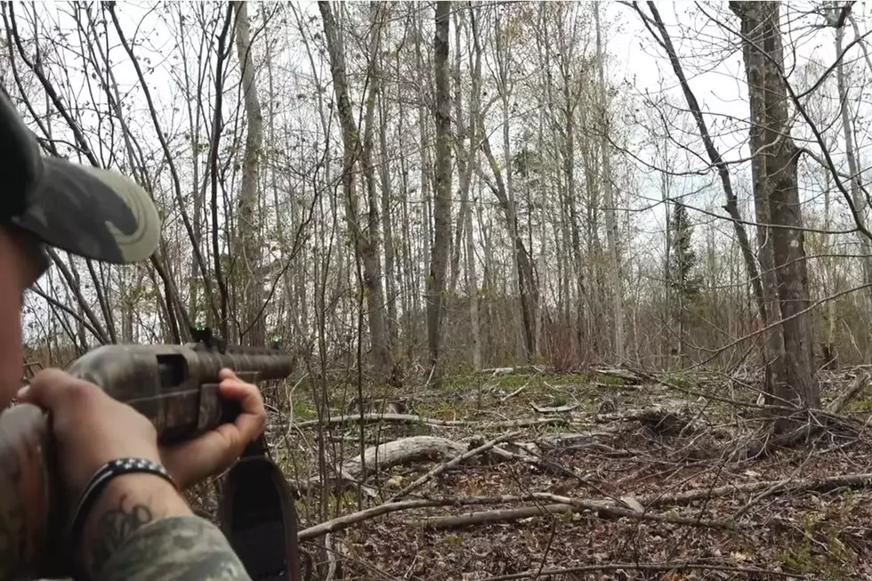 Get Fired Up for the Season by Watching These Maine Turkey Hunts
