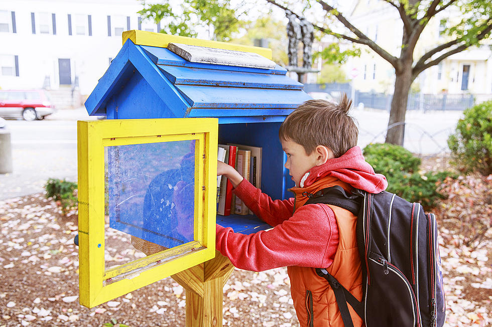How Many Little Free Libraries Are There Around Bangor?