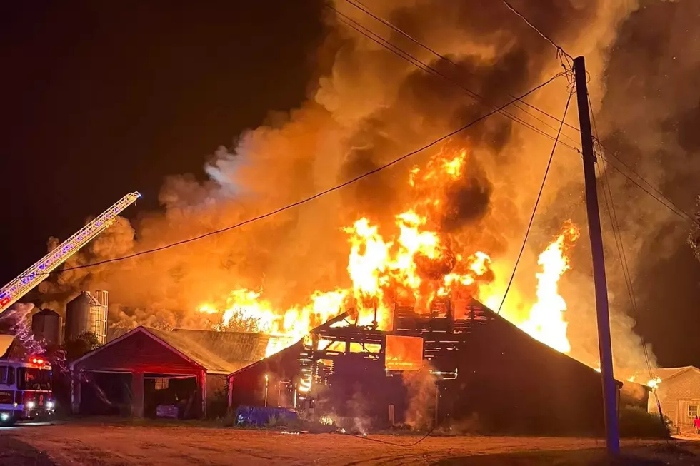 More Than 50 Cows Survived a Scary Fire at a Gorham Dairy Farm