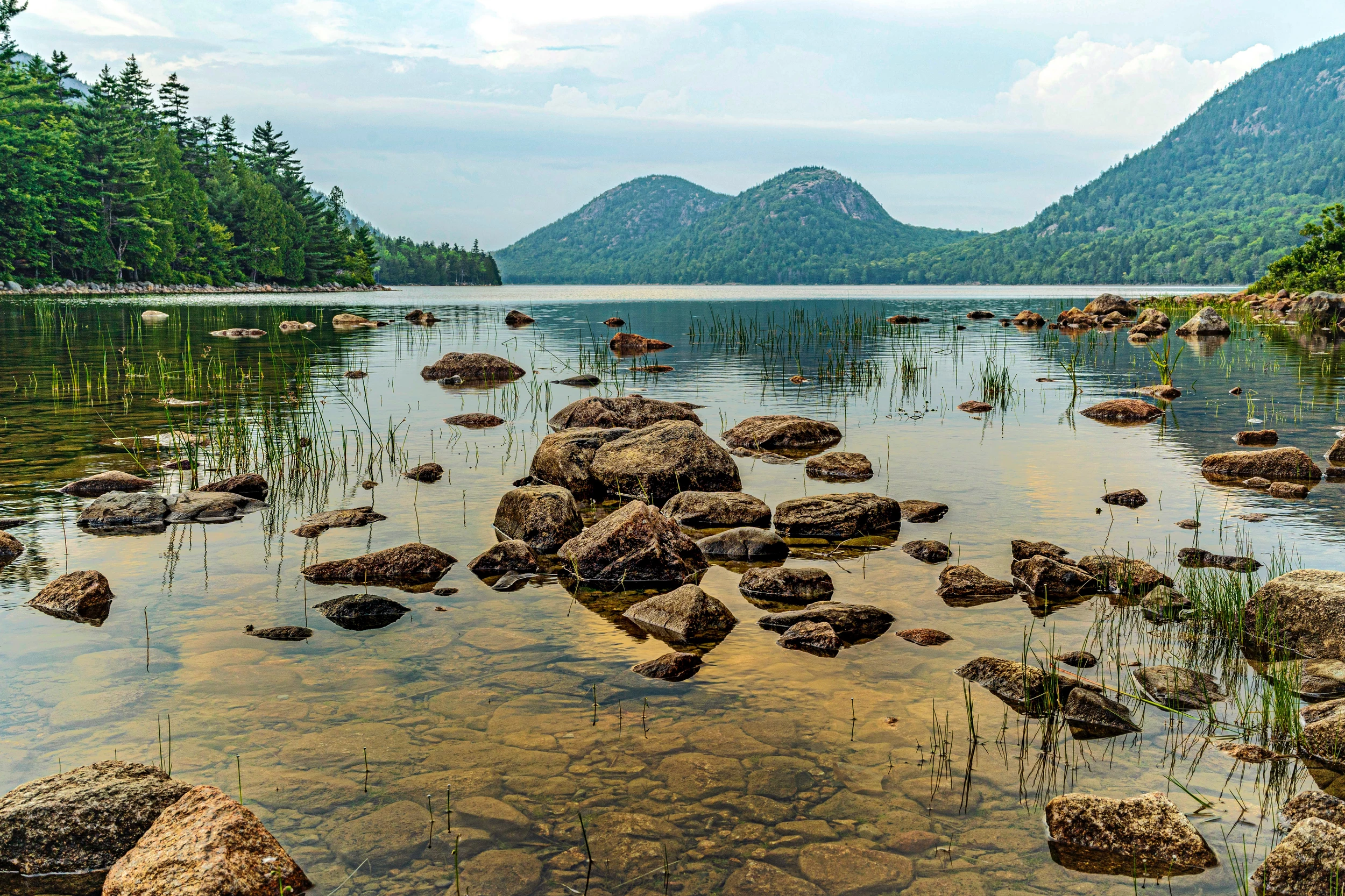 2021 Acadia National Park Pass Unveiled