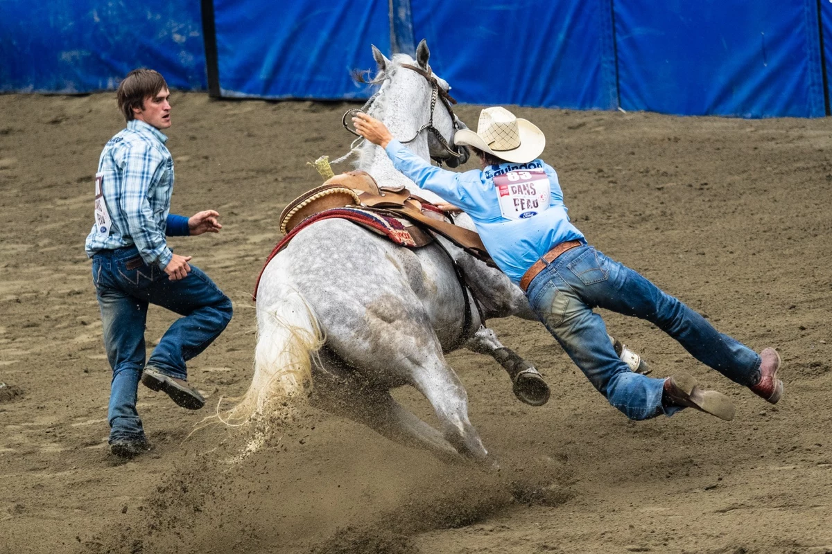 Charity Rodeo Coming To Apple Hill Stables Levant