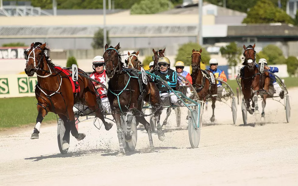 Maine’s Richest Day of Harness Racing Saturday