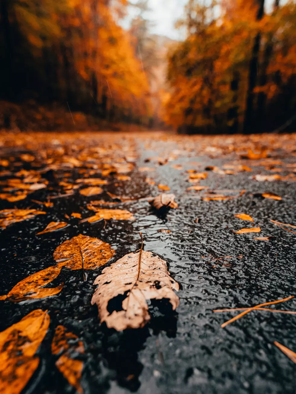 gabe-hobbs-lwEf_9Ai1Yo-unsplash