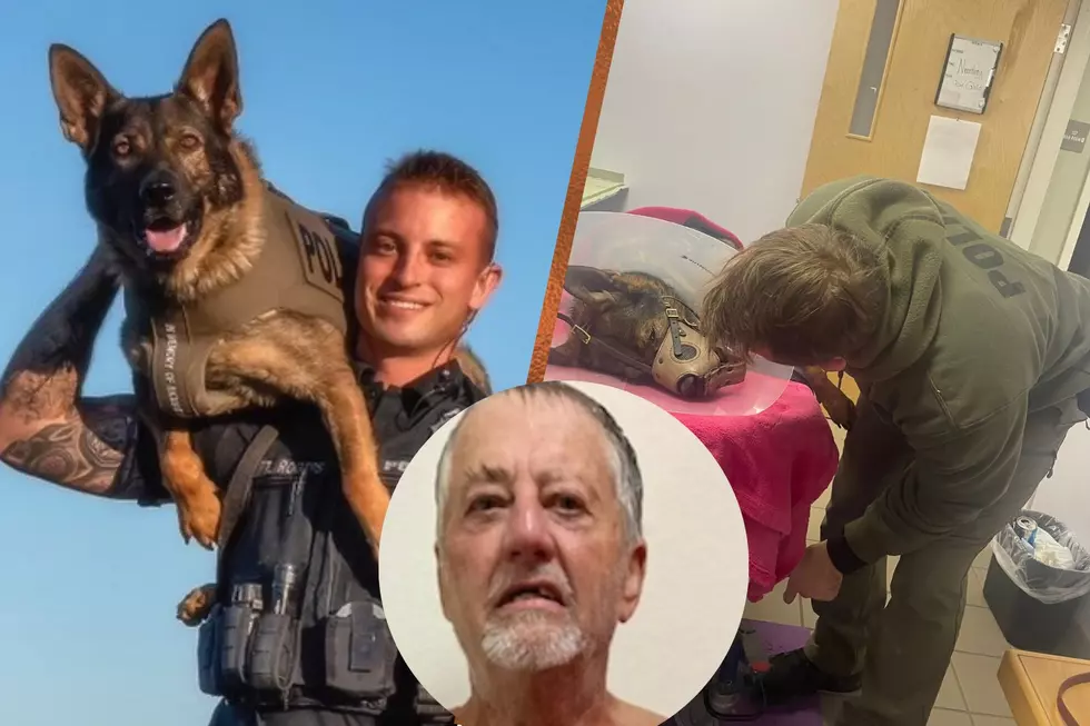 Cornish Man Allegedly Stabbed a Police K9 During a Standoff