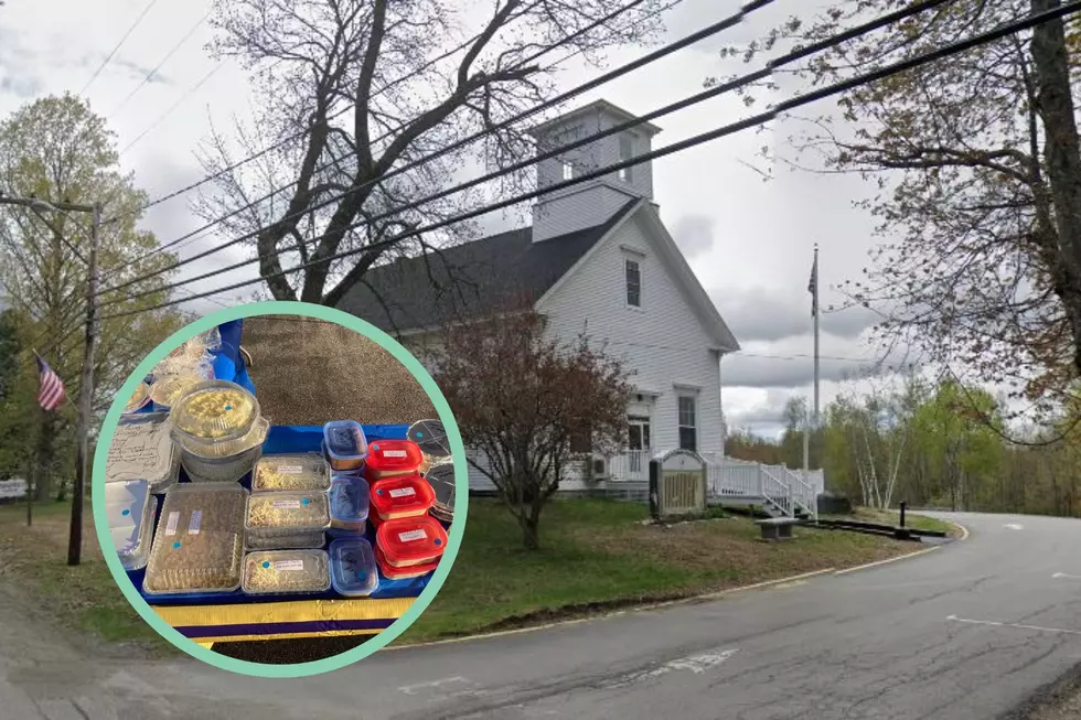 Orrington Voters are Well Fed Thanks to the Local Cub Scouts