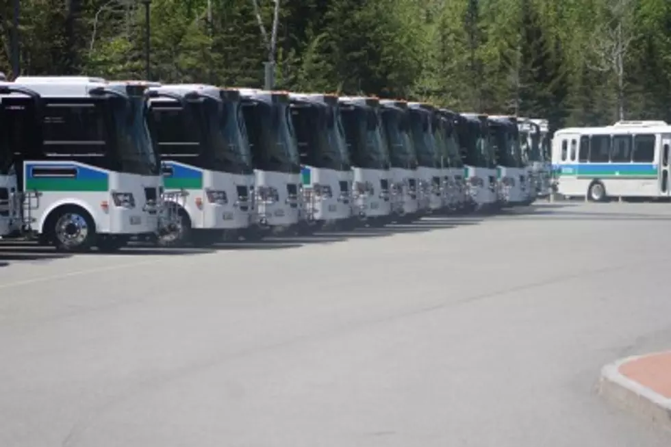 Changes Finally Coming to Ease Traffic at Acadia National Park