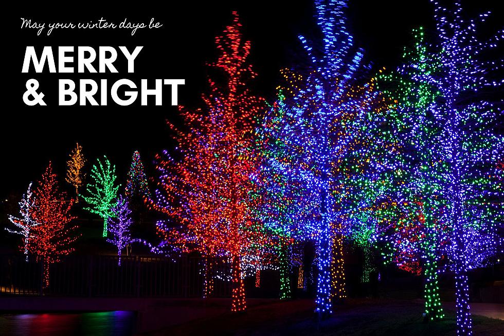 Wouldn’t It Be Nice If We Could Have Christmas Lights All Winter?