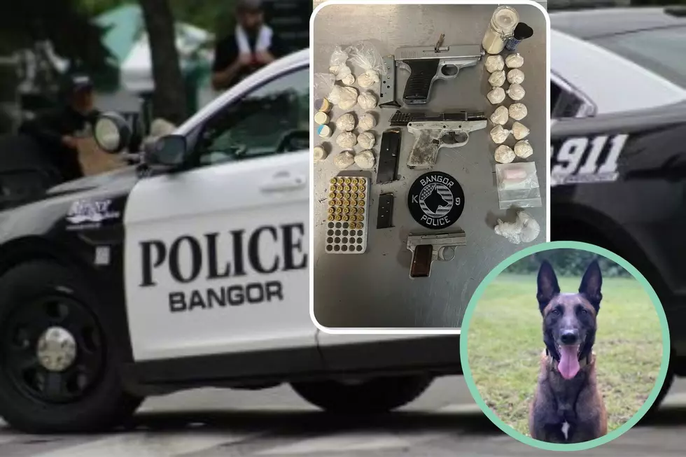 Bangor Police K9 Raye Sniffs Out Drugs and Firearms in a Vehicle