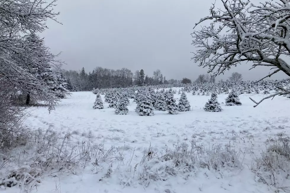 It'll Be A White Christmas in Maine After All
